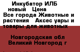 Инкубатор ИЛБ-0,5 новый › Цена ­ 35 000 - Все города Животные и растения » Аксесcуары и товары для животных   . Новгородская обл.,Великий Новгород г.